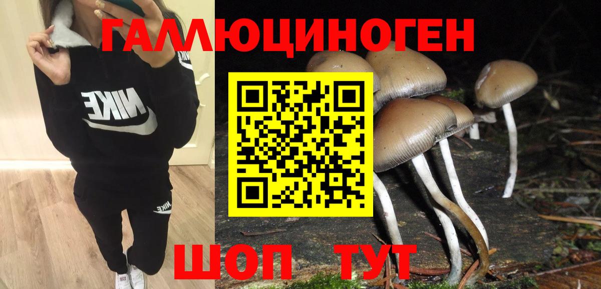 Галлюциногенные грибы прущие грибы  Вход с VPN  Чебоксары  Галлюциногенные грибы мицелий 